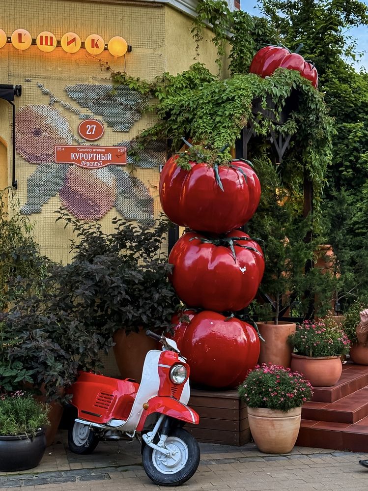 Фотография автора Елена Меньшикова