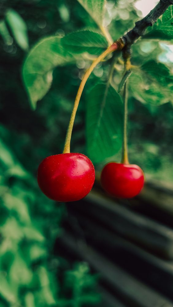 Photograph by Людмила Горячева