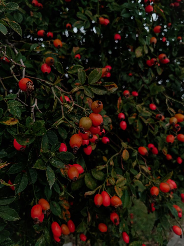 Photograph by Наталья Клячина