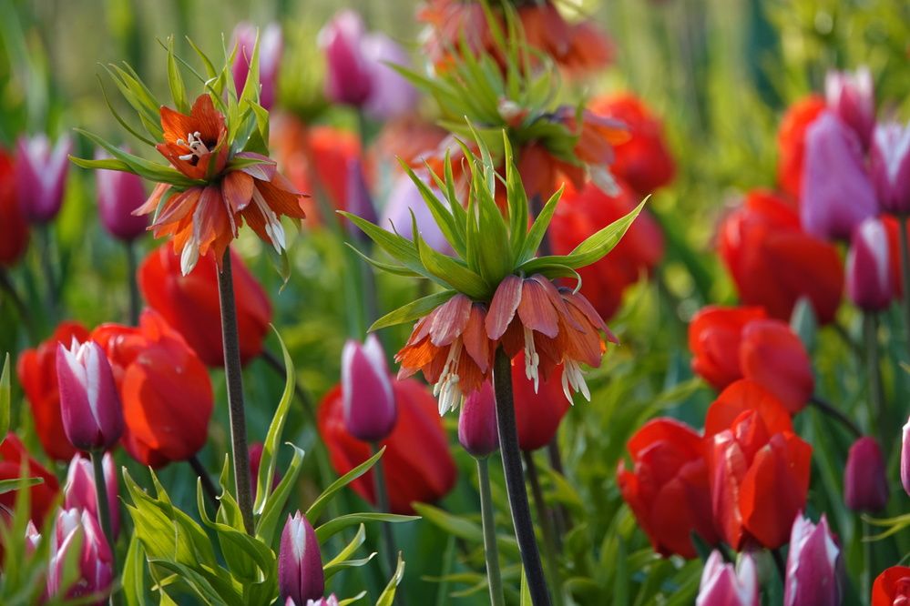 Photograph by Zakharov Matvey