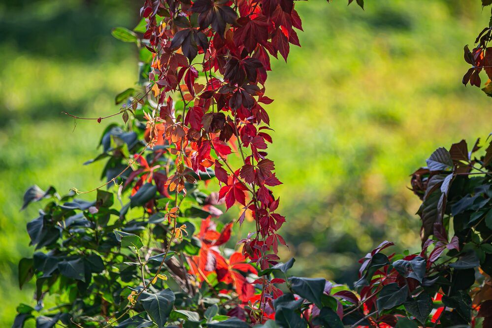 Photograph by Очева Наталья Александровна