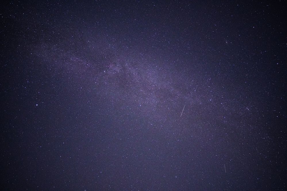 Photograph by Veronika Biró