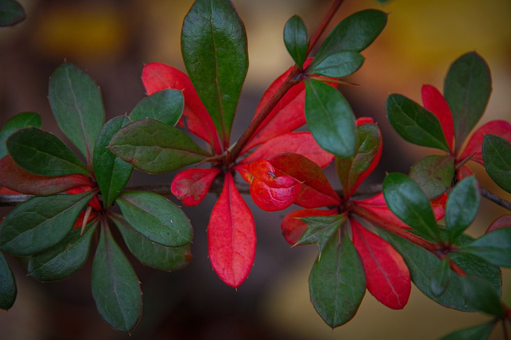 Photograph by Елена Щитова