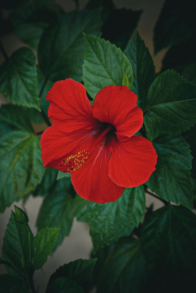 Photograph by Елена Щитова