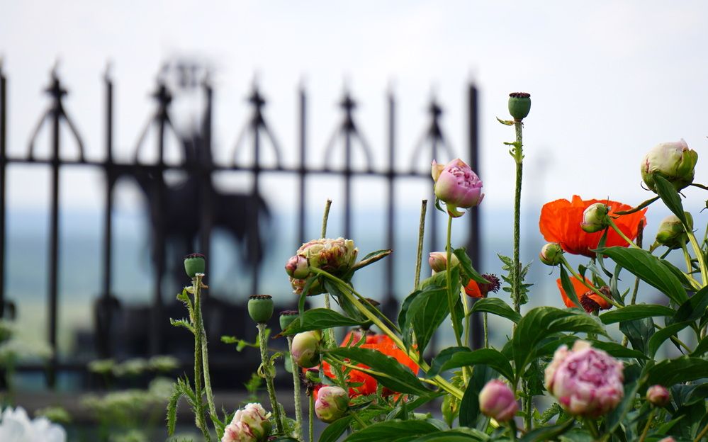 Photograph by Блюмина Елена