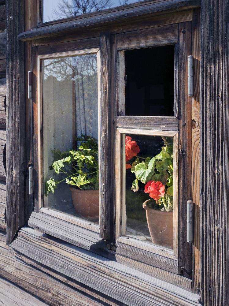 Photograph by Виктор Карпухин