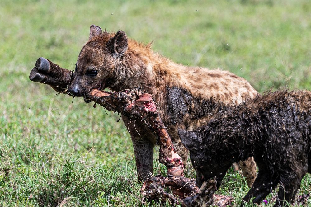Photograph by Antonín Dudek