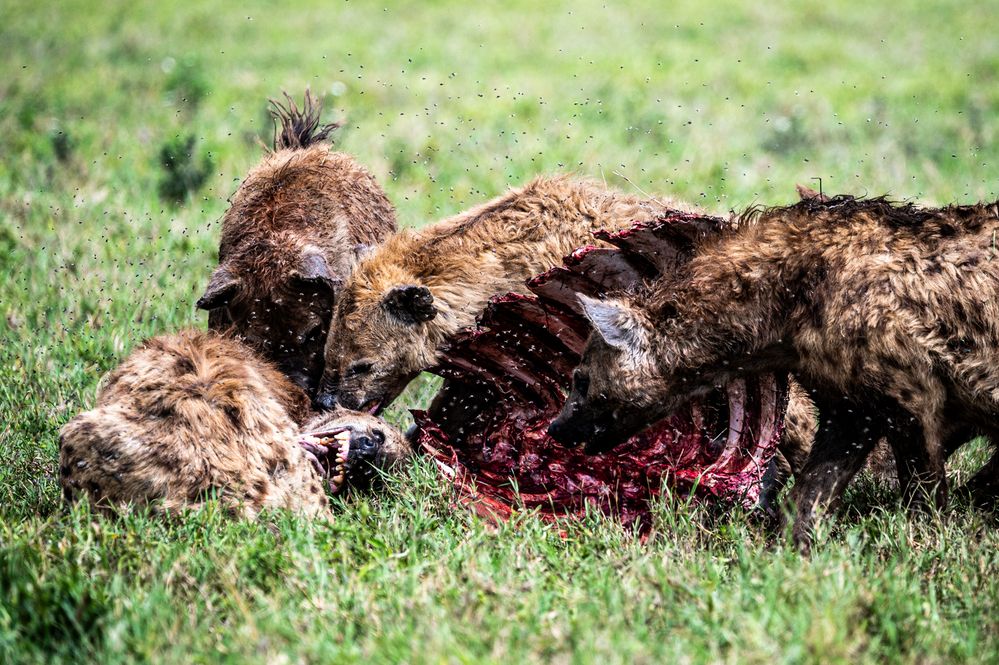 Photograph by Antonín Dudek