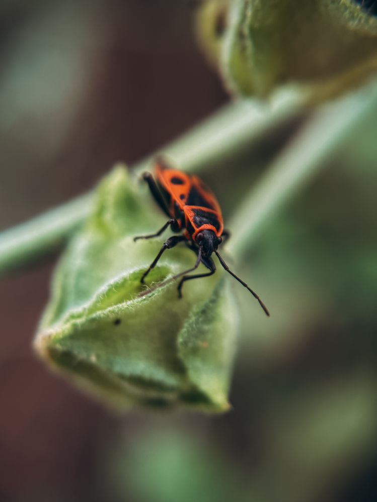 Photograph by Анна