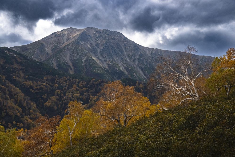 Photograph by Юлия Хобта