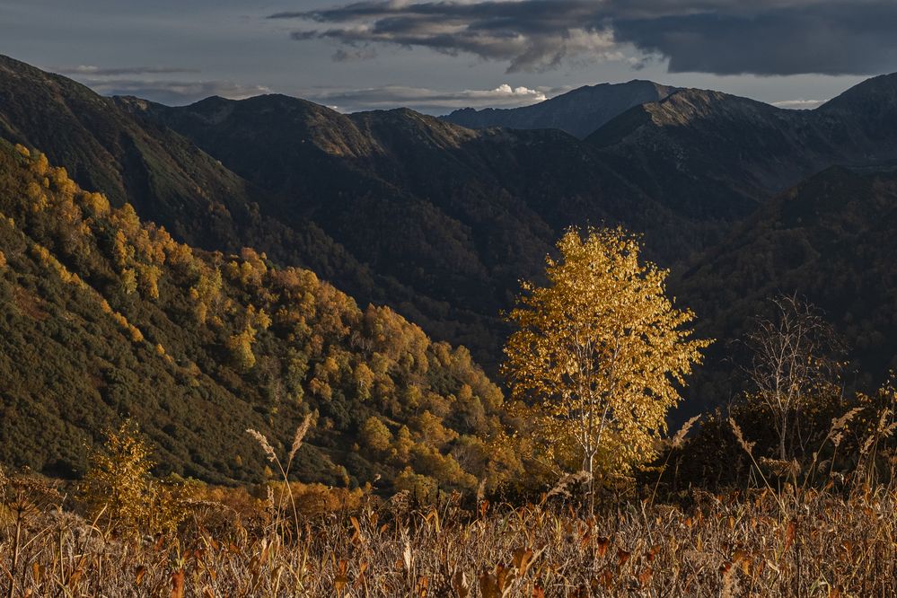 Photograph by Юлия Хобта