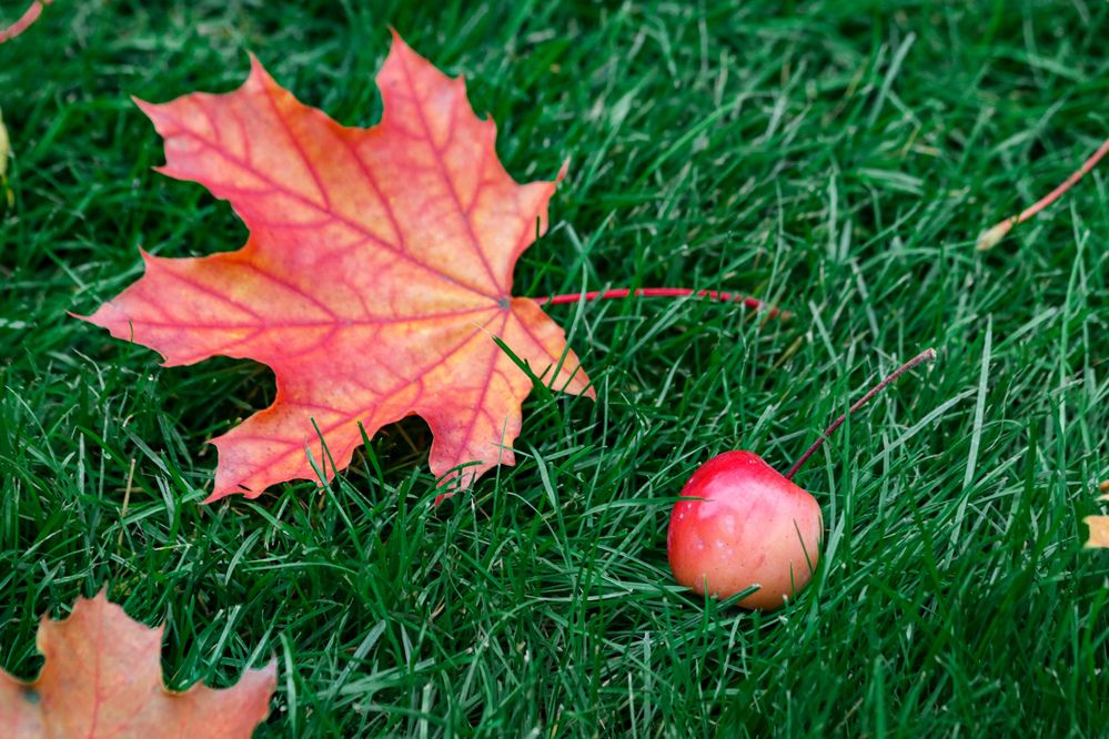 Photograph by Дмитрий Тимин