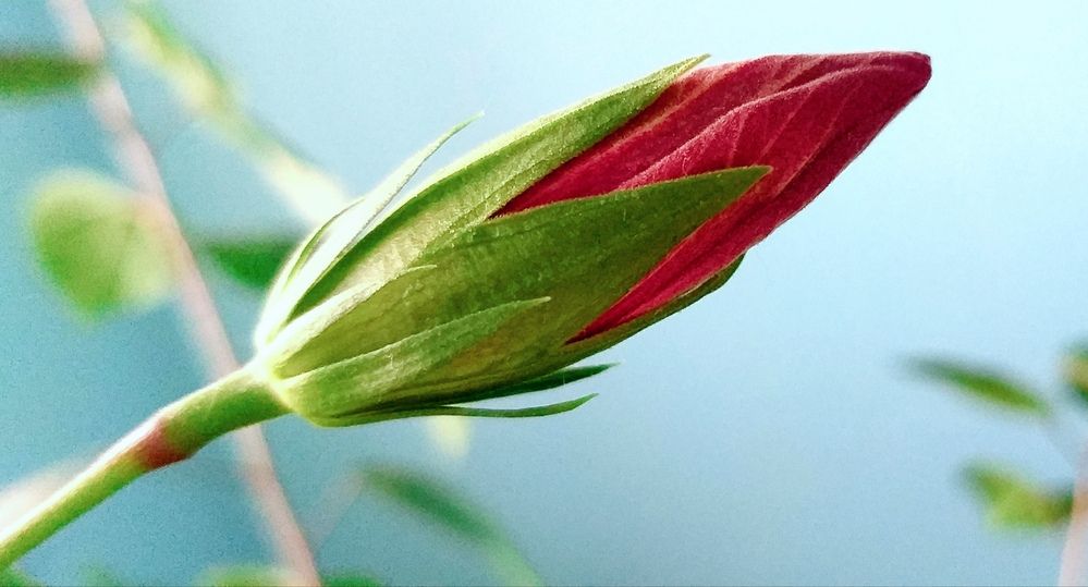 Photograph by Светлана Середина