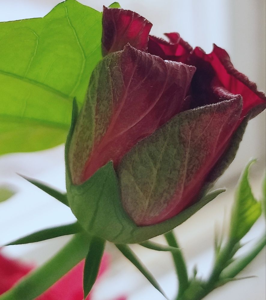 Photograph by Светлана Середина