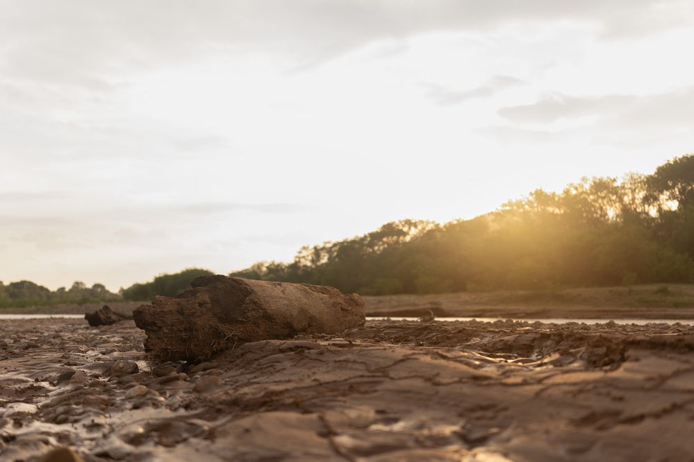Photograph by FERNANDO SILVA MARISCAL
