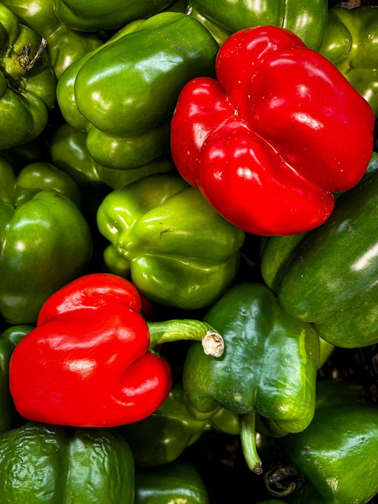 Photograph by Юлия Куклина