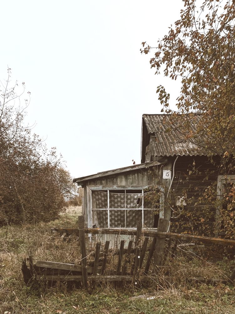 Photograph by Елена Банникова