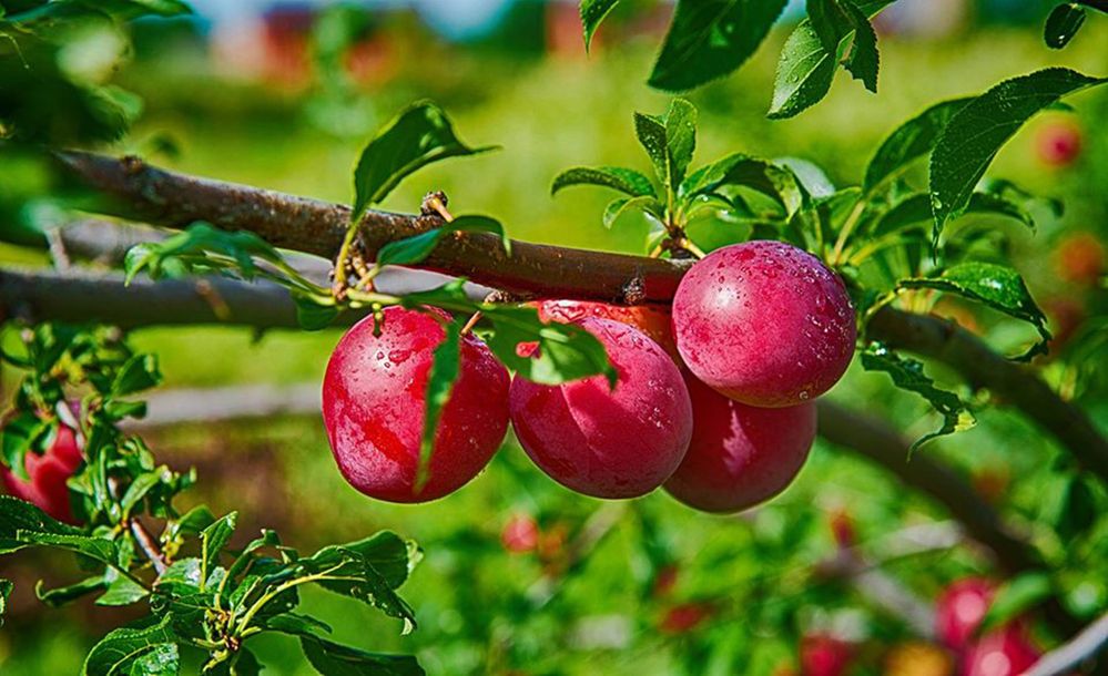 Photograph by Андрей Чуйков