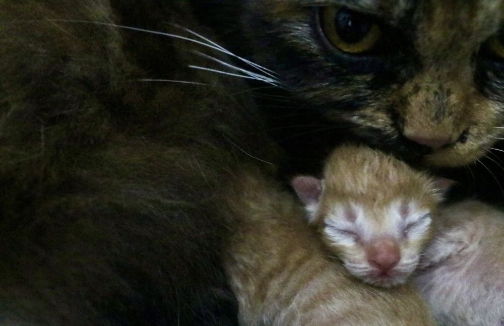 Photograph by Deasy Junita Dhani Hidayana