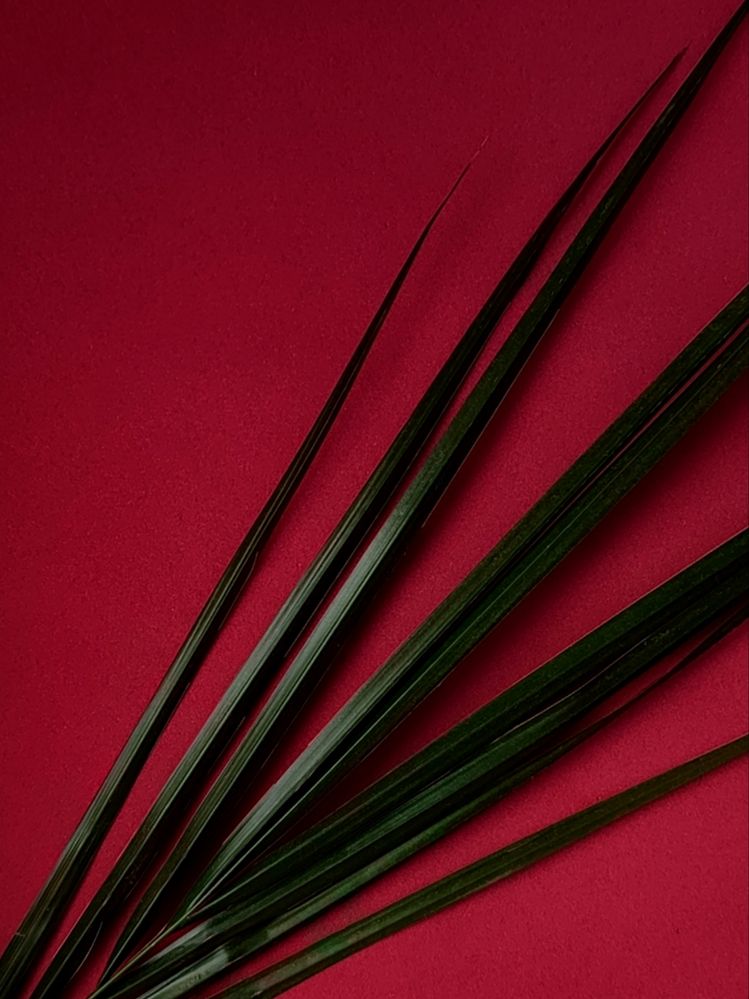 Photograph by Maria Stankevich