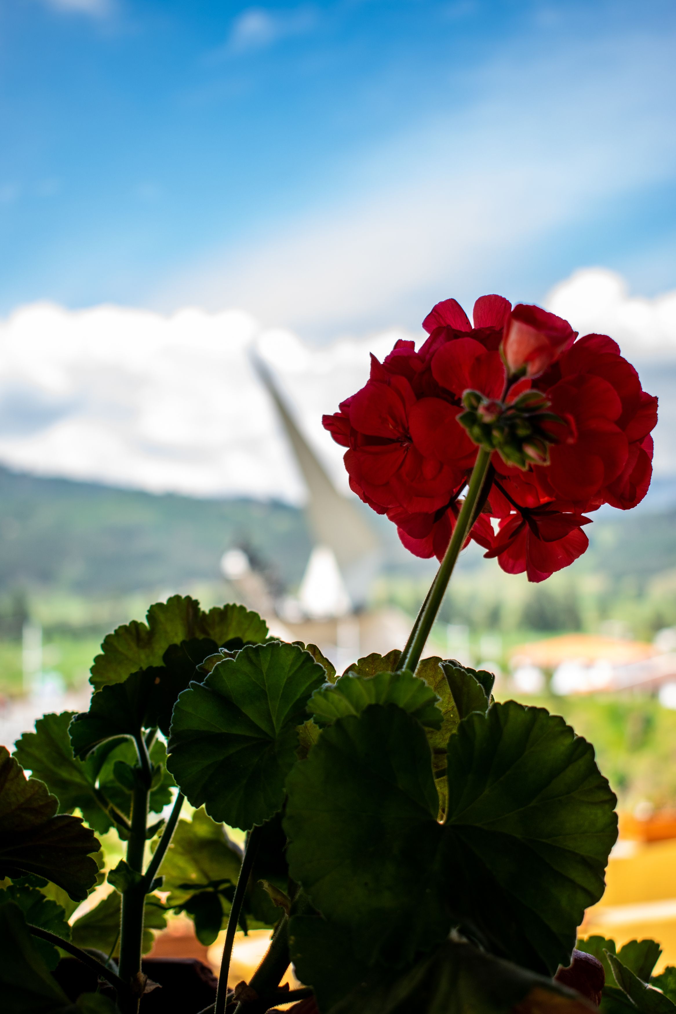 Фотография автора Jose Marcos Carvajal Tarazona