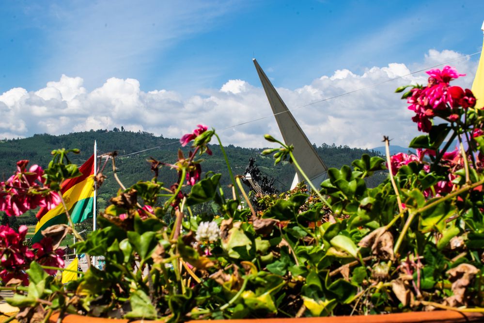 Фотография автора Jose Marcos Carvajal Tarazona