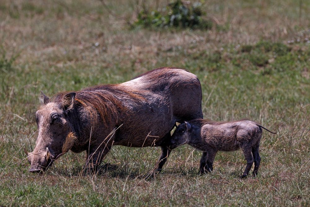 Photograph by Елена Подерегина