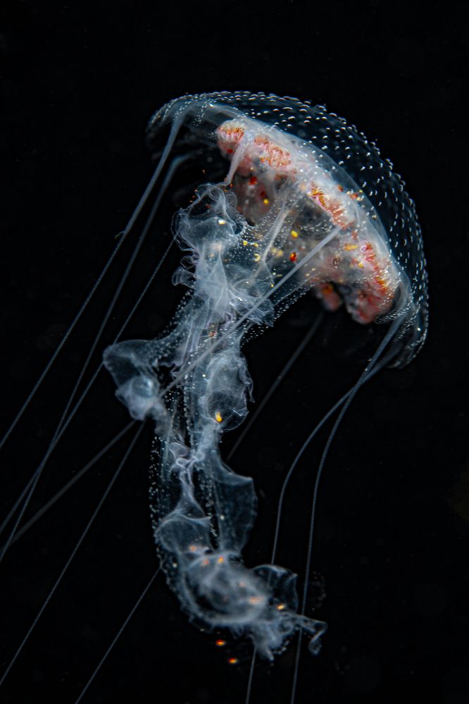 Photograph by JUAN M GUZMÁN