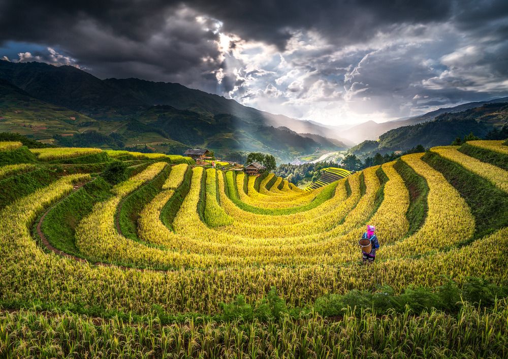 Photograph by Đạo Hoàng