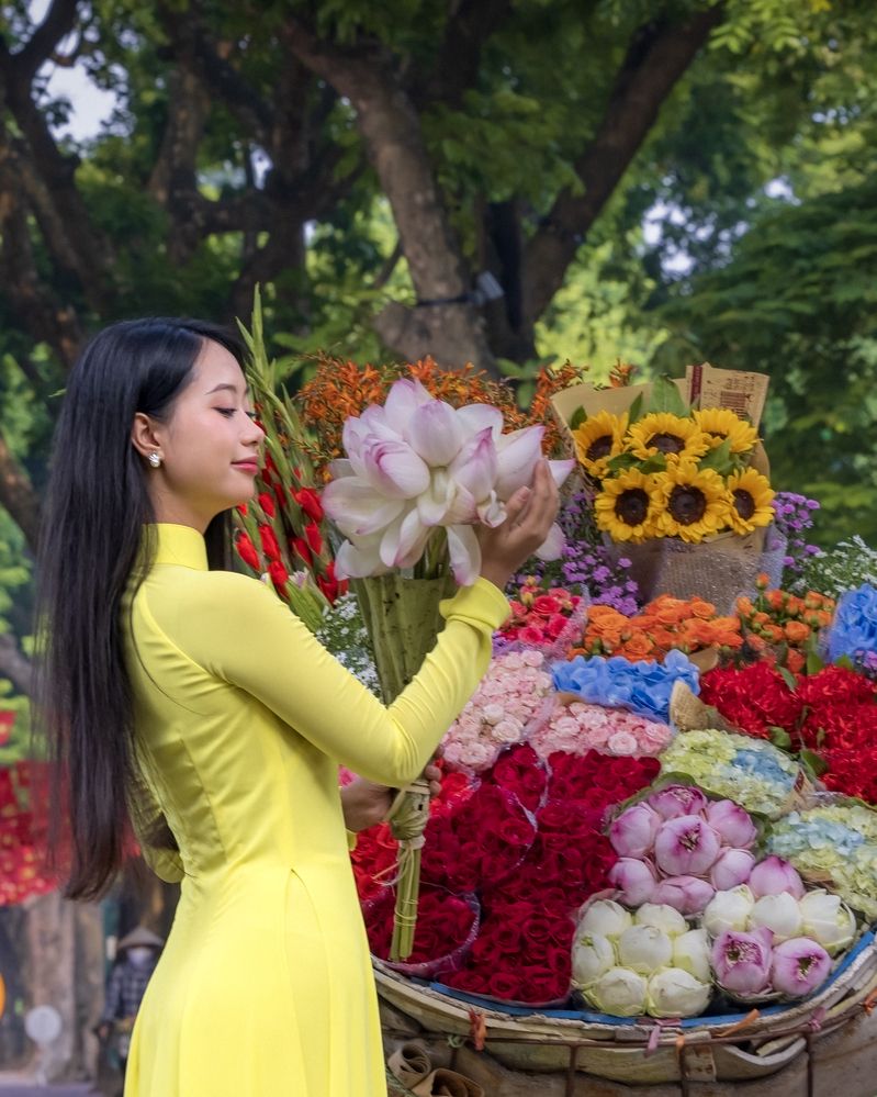 Фотография автора QUAN NGUYEN HUNG
