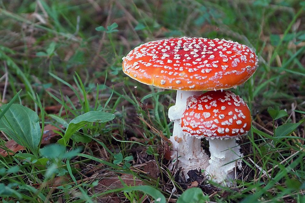 Photograph by Галина Кан