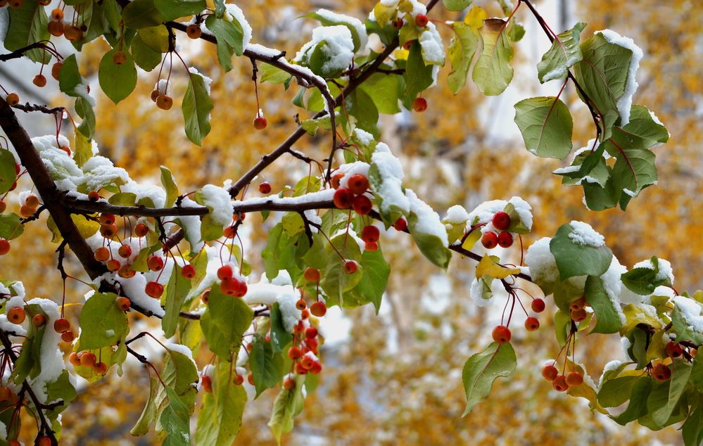 Photograph by Галина Кан