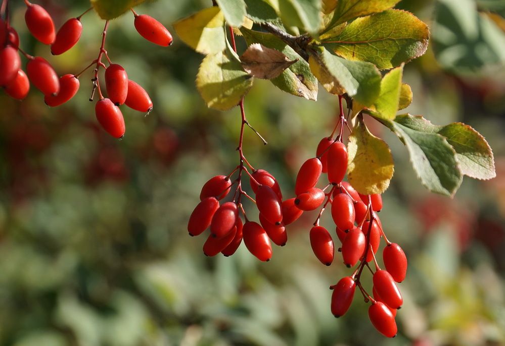 Photograph by Галина Кан