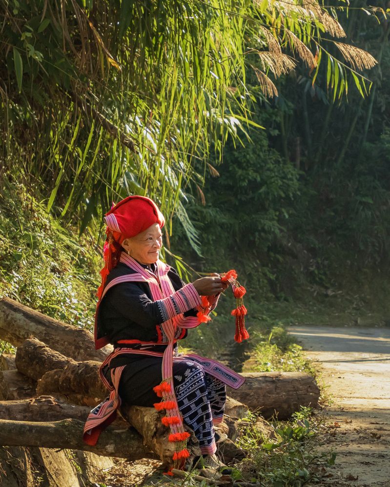 Фотография автора QUAN NGUYEN HUNG