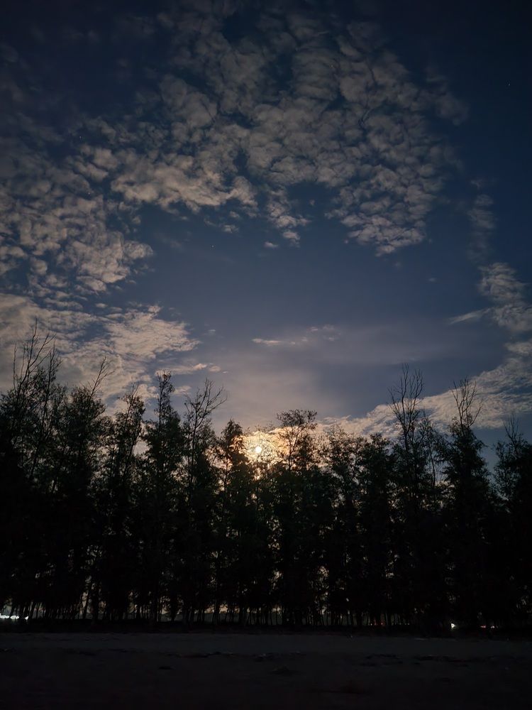 Photo #12742268