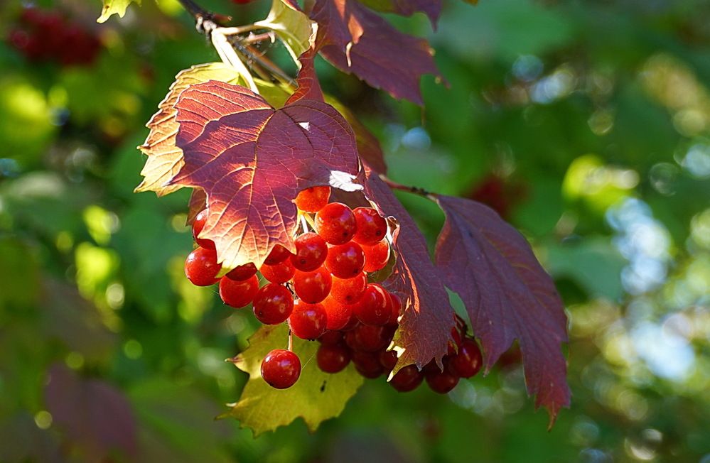 Photograph by Галина Кан