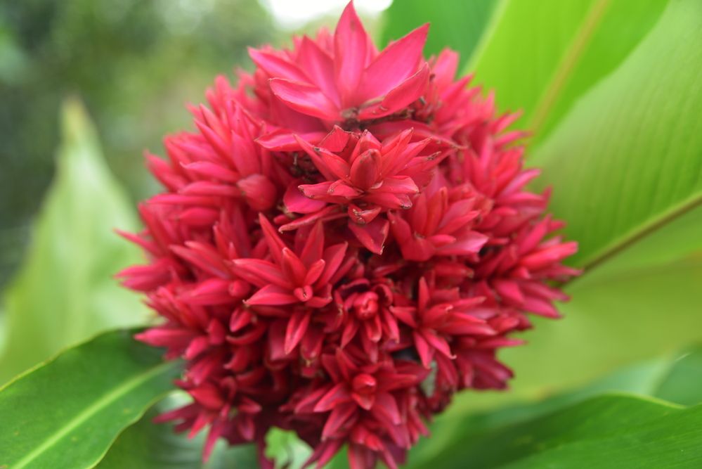 Фотография автора Camilo Martinez