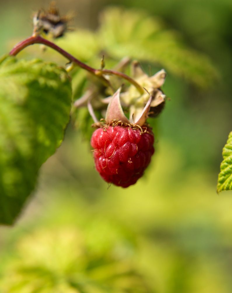 Photograph by Ирина Дмитриенко