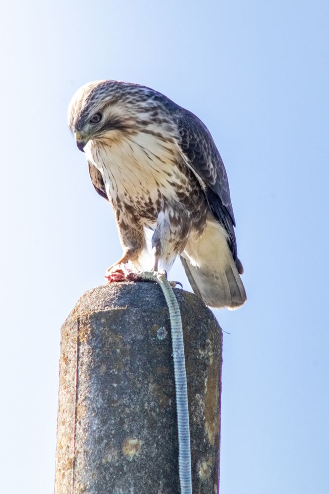 Photograph by kurodon