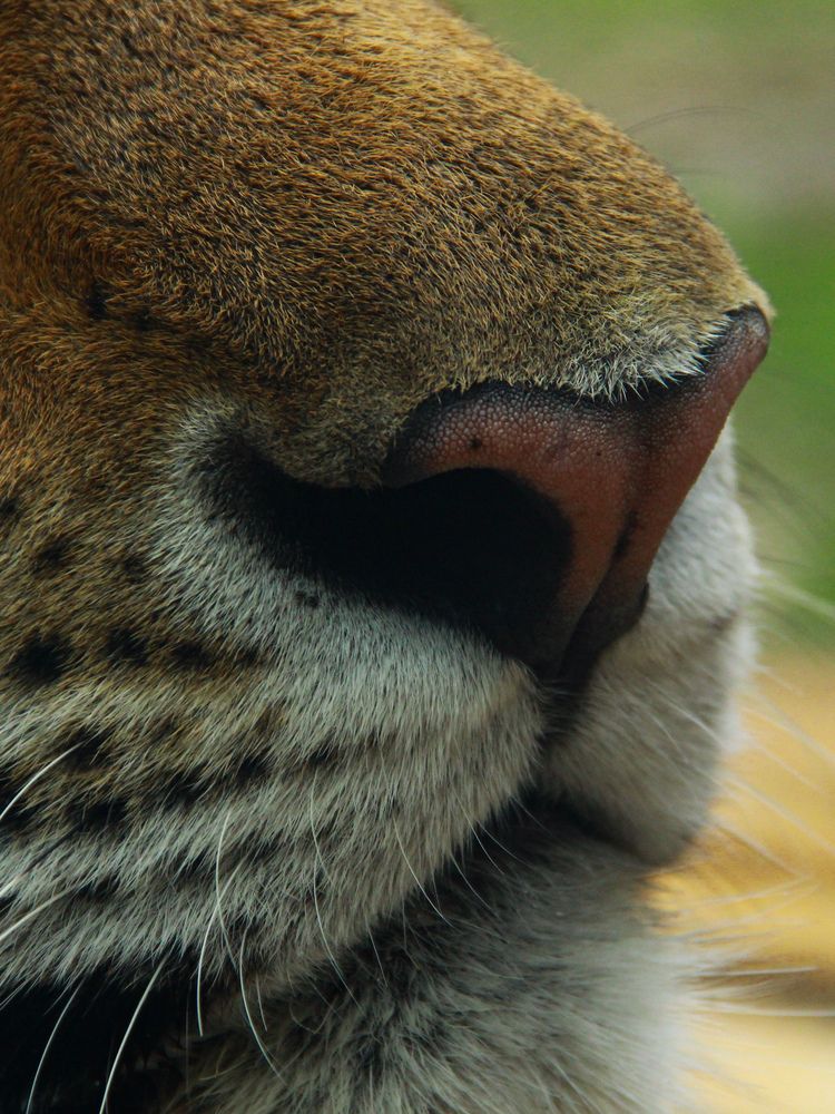 Photograph by Марина Фомичева