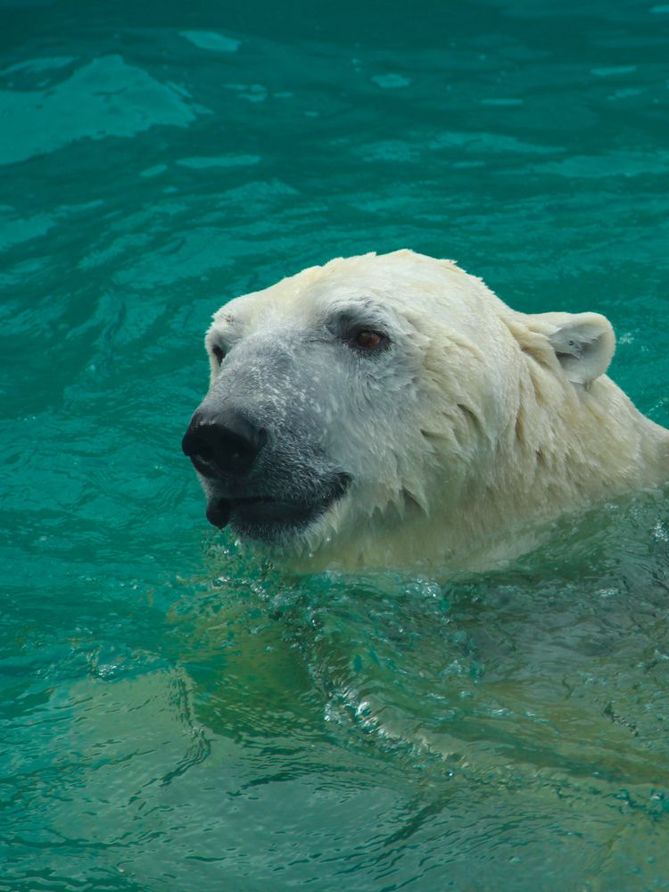 Photograph by Марина Фомичева