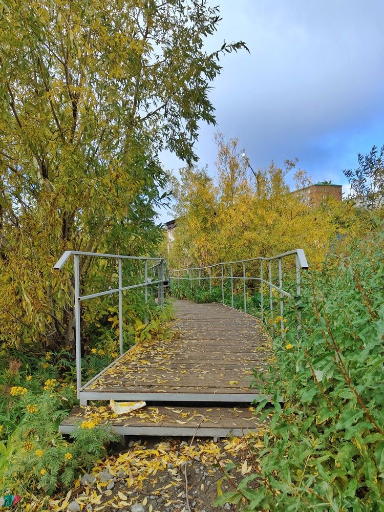 Photograph by Нина Кольман