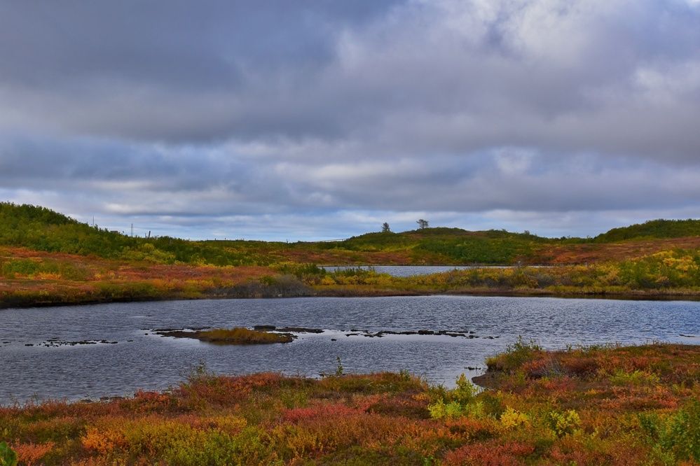 Photograph by Нина Кольман