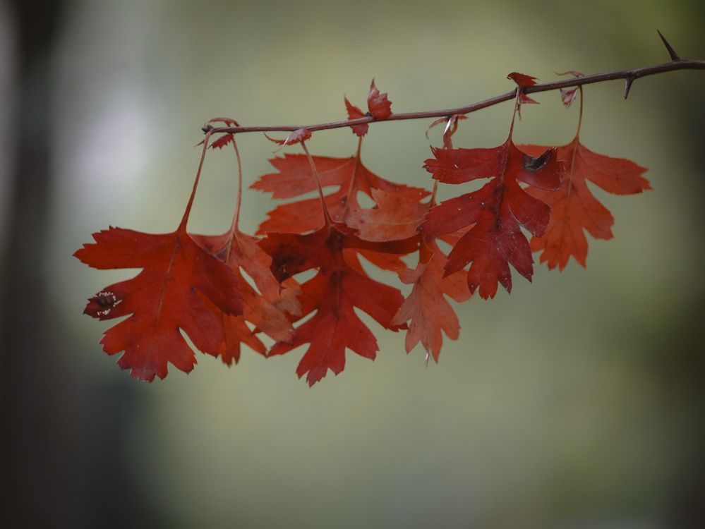 Photograph by Христина Сергейчик