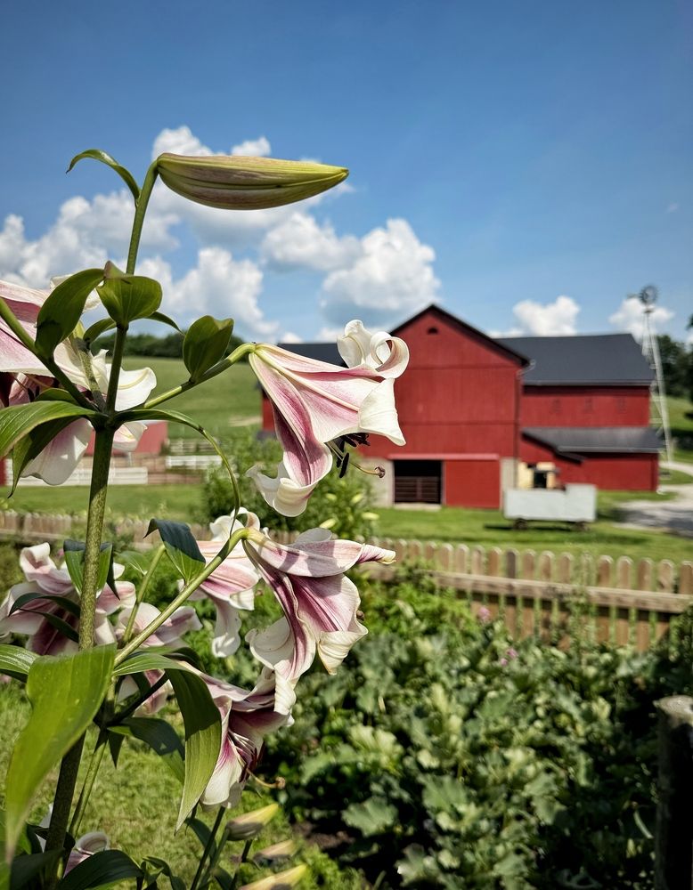 Photograph by Юлия Порфирьева