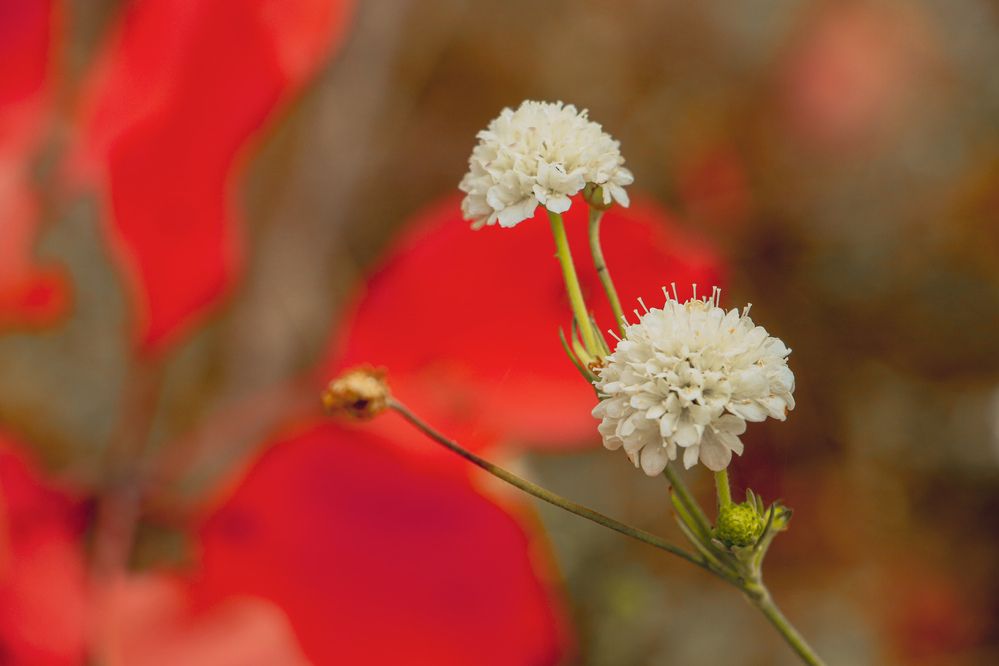 Photograph by Христина Сергейчик