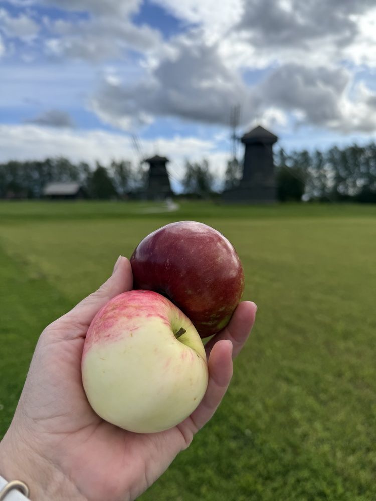Фотография автора Виктория Ляпина