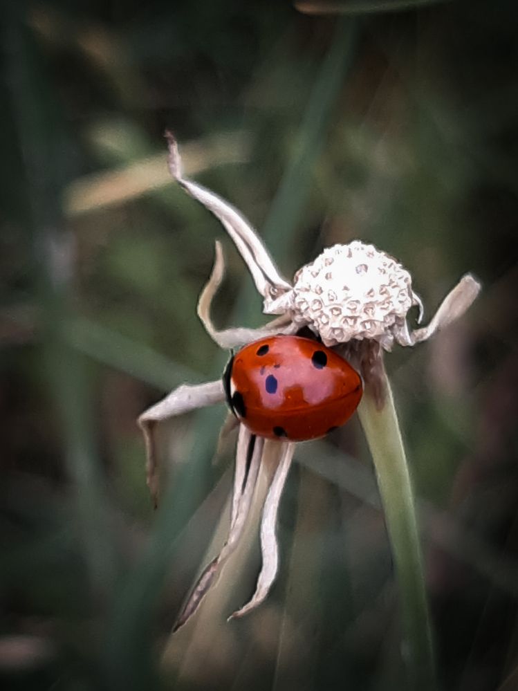 Photograph by Людмила Худякова