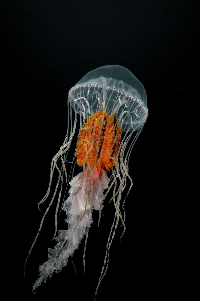 Photograph by JUAN M GUZMÁN
