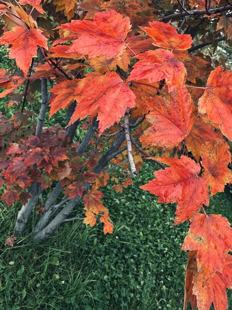 Photograph by Ксения Гулькова